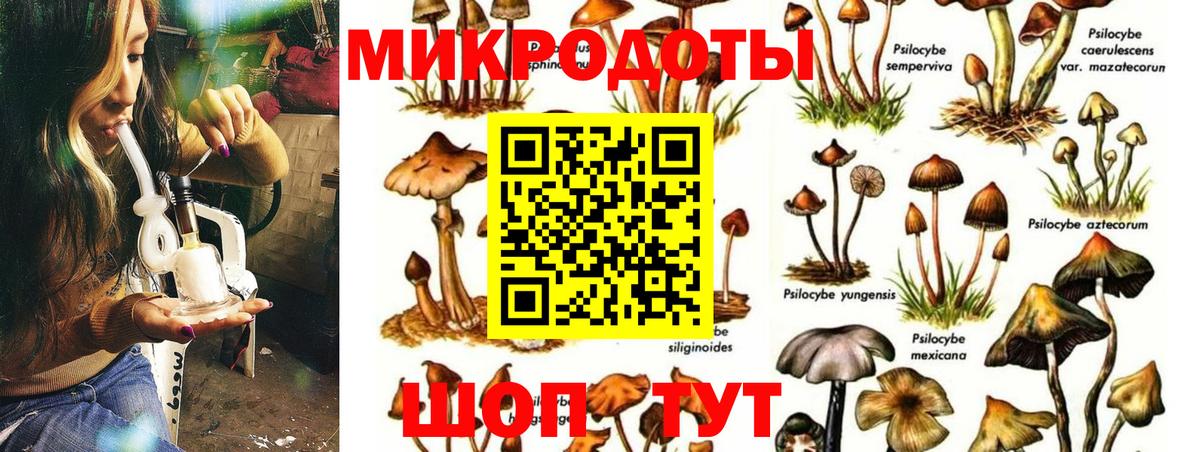 Галлюциногенные грибы Magic Shrooms Тара